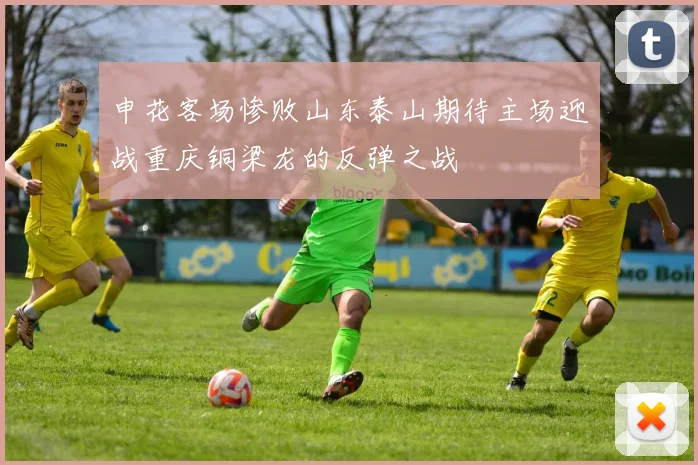 申花客场惨败山东泰山期待主场迎战重庆铜梁龙的反弹之战